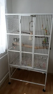 Papoušek senegalský + klec